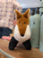 Frank the fox plush fox toy with brown white fur black paws and small black eyes perfect as a stuffed animal