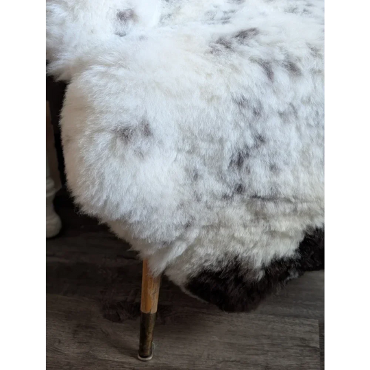 Large spotted icelandic sheepskin rug in white and gray speckled short wool with a soft fluffy texture
