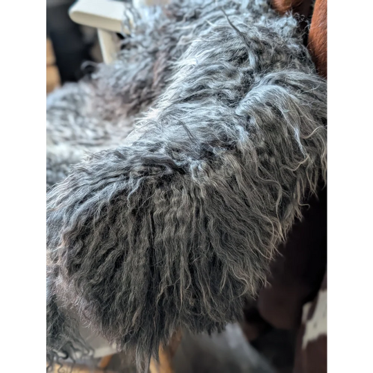 Gray fluffy dog tail on 52x31in Gotland sheepskin from Oliver Luxury Sheepskins
