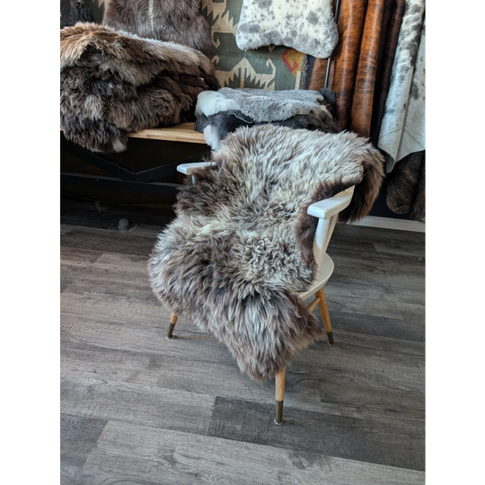 Gorgeous fluffy natural spotted mix British sheepskin chair cover