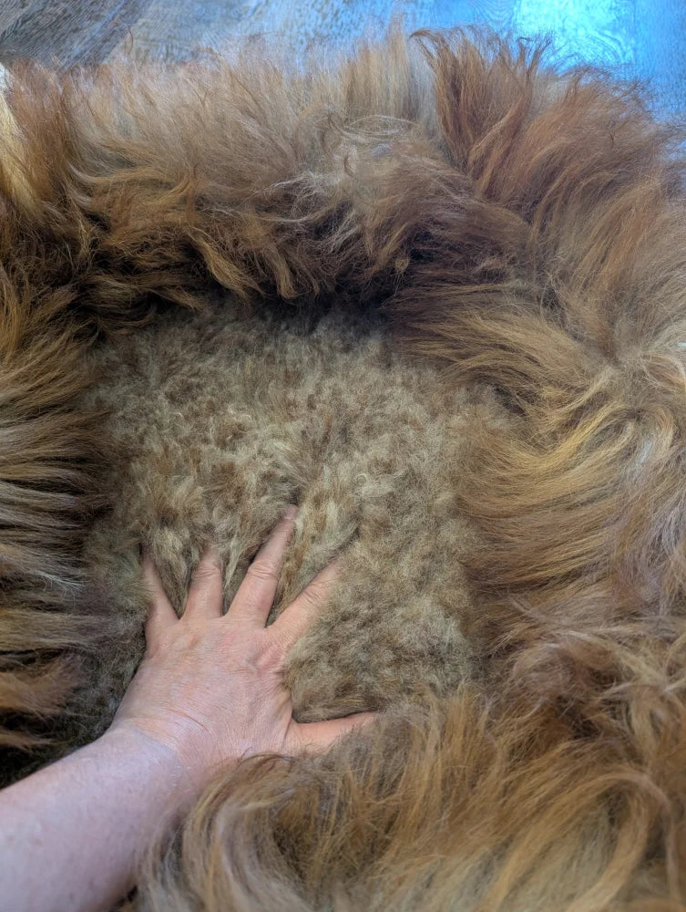 Golden fluffy faux fur sheepskin pet bed throw with brown accents