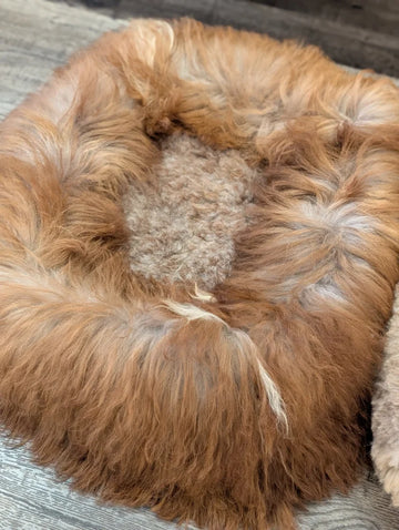 Gorgeous Long Wool ❤️ Sheepskin Pet Beds