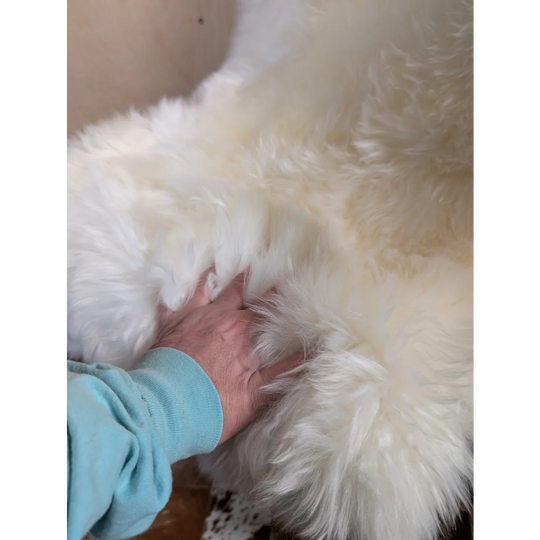 Gorgeous VERY SOFT Merino Sheepskin plush white faux fur blanket
