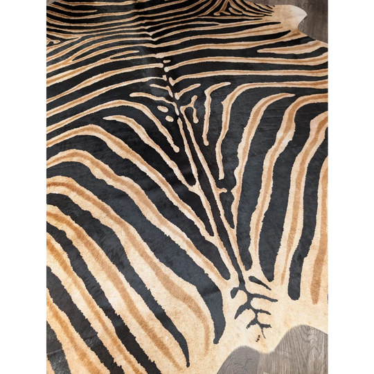 A plush large cowhide rug by angus oliver with bold black and tan zebra print unique characteristics