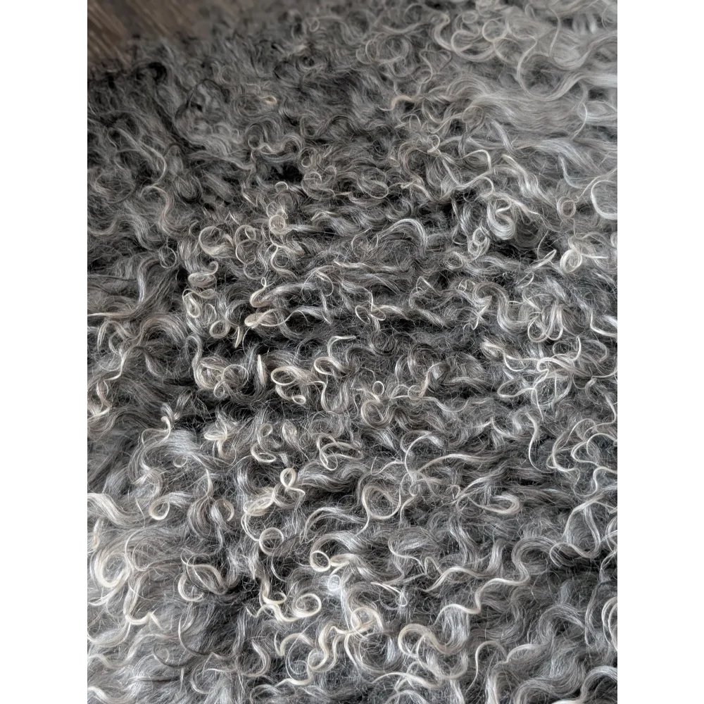 Close-up of curly gray Gotland sheepskin texture, soft wool surface 52x31