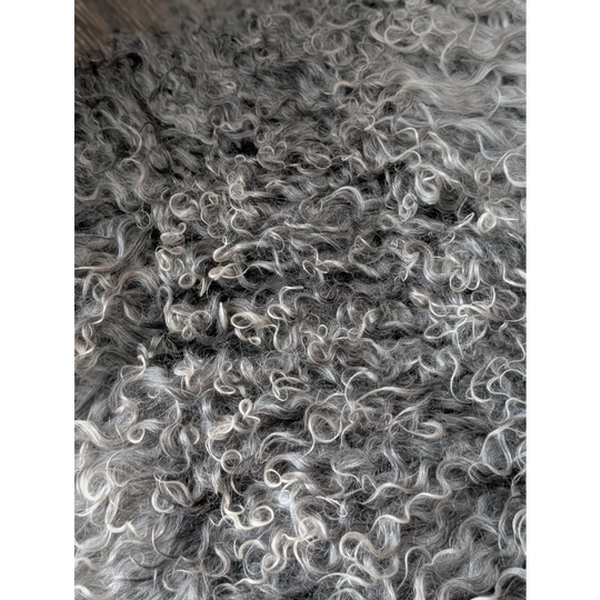 Close-up of curly gray Gotland sheepskin texture, soft wool surface 52x31