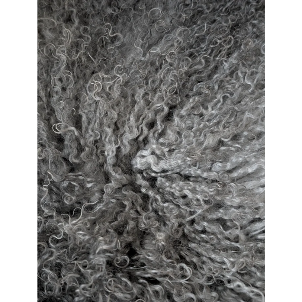 Close-up curly gray wool texture of Gotland sheepskin 52x31
