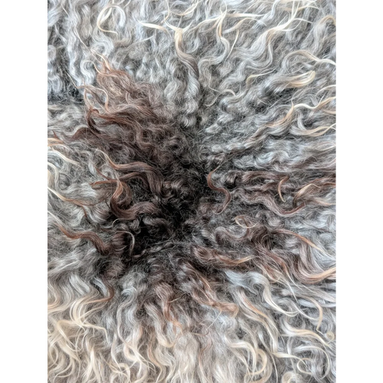 Curly Gotland sheepskin rug in white, gray, brown hues, 54x33 inches