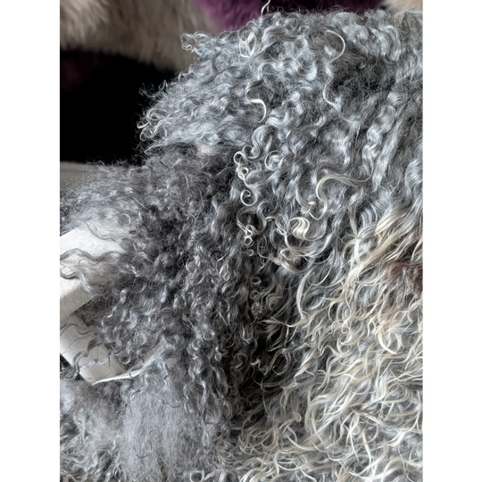 Gotland sheepskin grey curly wool scarf, 52x31 textured knit