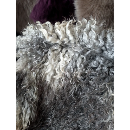 Luxurious curly silver white Gotland sheepskin 52x31 fur coat