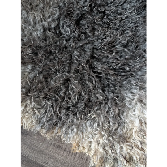 Gotland sheepskin 52x31 curly gray-white wool rug from Oliver Luxury Sheepskins