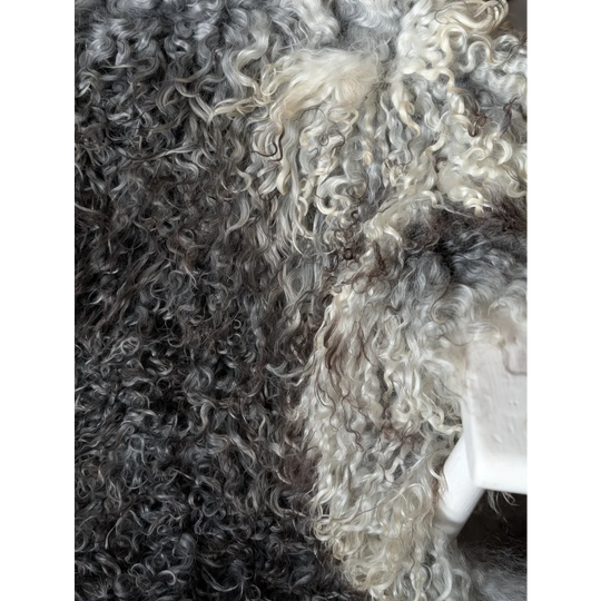 Cozy curly gray white Gotland sheepskin 52x31 sweater knit