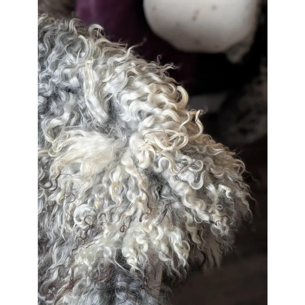 Curly silver poodle plushie on Oliver Luxury Sheepskins Gotland sheepskin 52x31