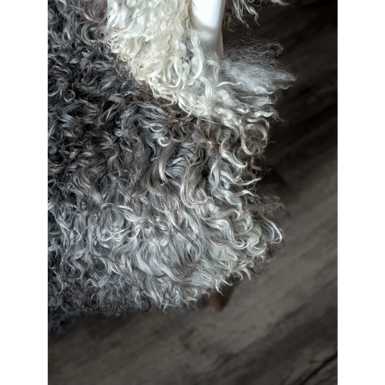 Curly silver hair wig on Gotland sheepskin 52x31 with natural shine