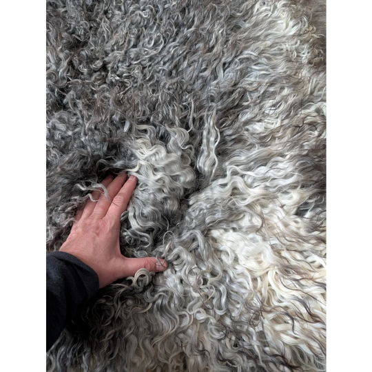 Curly gray Gotland sheepskin rug 52x31 with soft natural texture