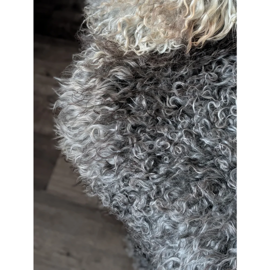 Curly gray and white gotland sheepskin 52x31 fur coat