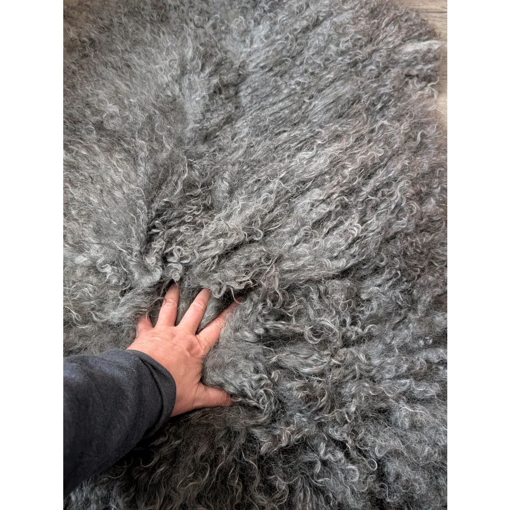 Gotland sheepskin rug 52x31 with curly grey texture and natural sheen