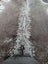 Greymix 925 extra large brown and white spotted cowhide rug with natural textured surface perfect for beautiful rugs