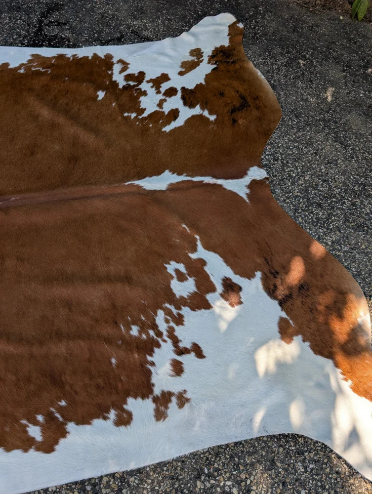 Brown and white large cowhide rug with natural fur texture featuring unique characteristics for beautiful rugs