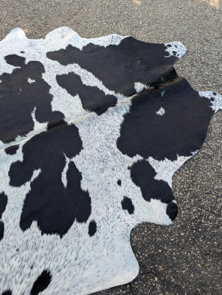 Hello 10 large cowhide rug in black and white with unique characteristics and rustic charm measuring 92 by 73.5 inches