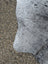 Large gray and black speckled cowhide rug 87 x 72 with soft natural texture and unique characteristics for beautiful rugs