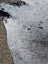 Hello11 large cowhide rug in white and black speckled pattern with unique natural textured surface perfect for beautiful rugs