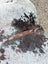 Hello11 87 x 72 large cowhide rug with beautiful black white and brown speckled patches showcasing unique characteristics