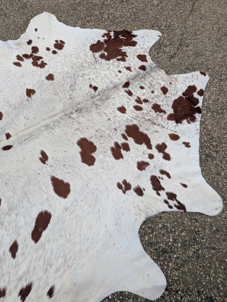 Hello12 large cowhide rug with beautiful white and brown spotted natural fur texture and unique characteristics