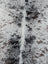 Hello13 extra large cowhide rug with white and black speckles and a central fur stripe perfect for beautiful rugs with unique characteristics