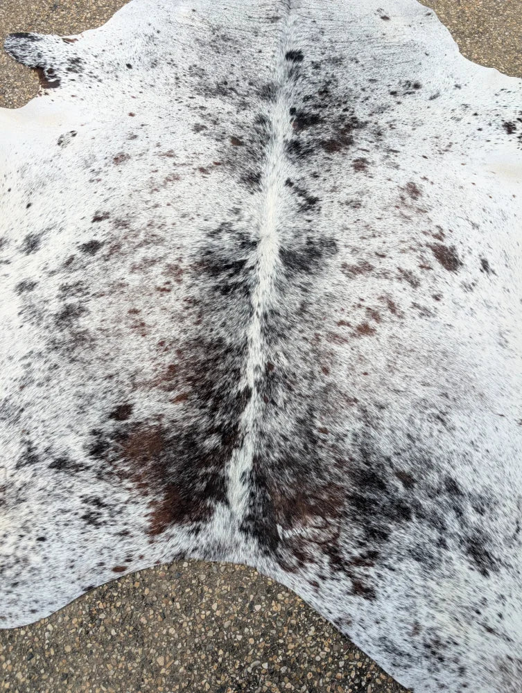 A large cowhide rug with white and black spotted pattern showcasing unique characteristics and beautiful rugs style