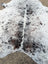 A large cowhide rug with white and black spotted pattern showcasing unique characteristics and beautiful rugs style