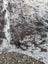 Hello13 89 x 80 extra large cowhide rug with white and dark brown speckled fuzzy texture and unique characteristics