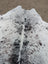 Extra large white and black spotted cowhide rug with natural texture showcasing unique characteristics for beautiful rugs