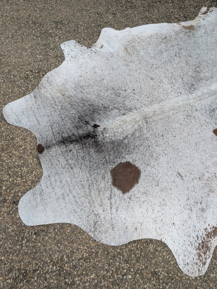 Hello14 extra large cowhide rug with natural brown spots on white textured surface perfect for beautiful rugs and large cowhide fans