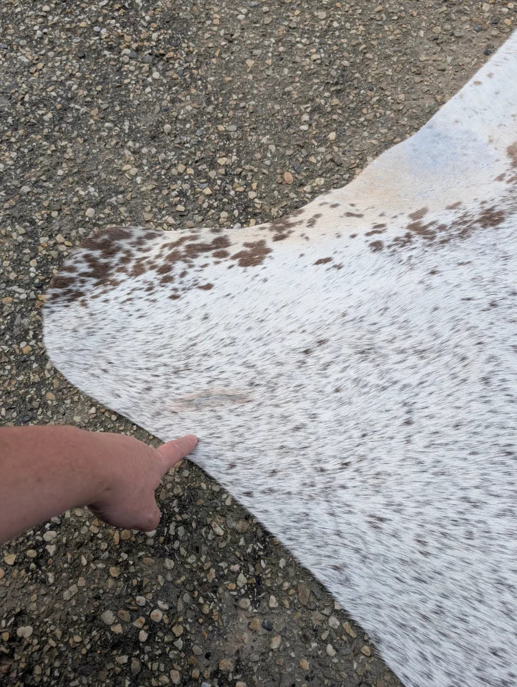 Hello14 extra large cowhide rug with white brown and black speckles featuring unique characteristics and natural edge