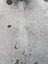 Hello14 89 x 79 extra large cowhide rug with white and natural brown spots featuring unique characteristics and soft texture