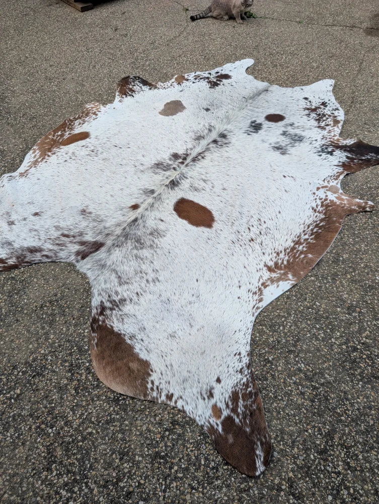Hello15 large cowhide rug in white and brown with natural fur texture and unique characteristics for beautiful rugs