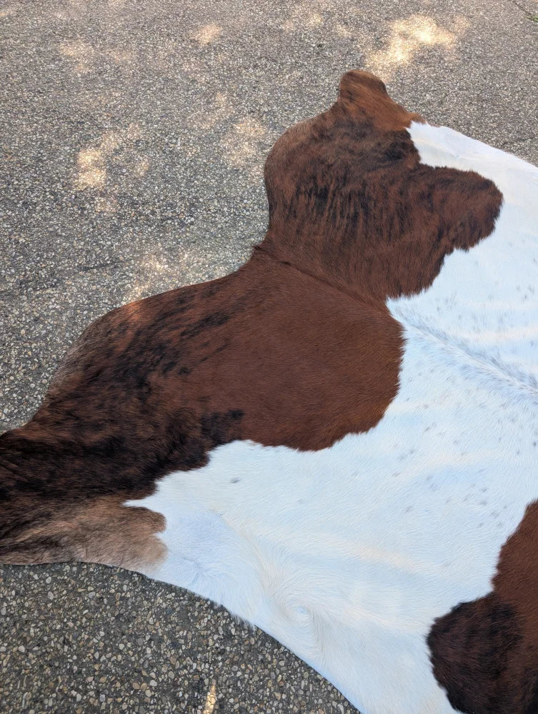 Hello2 large brown and white cowhide rug with natural fur texture showcasing unique characteristics and rustic charm