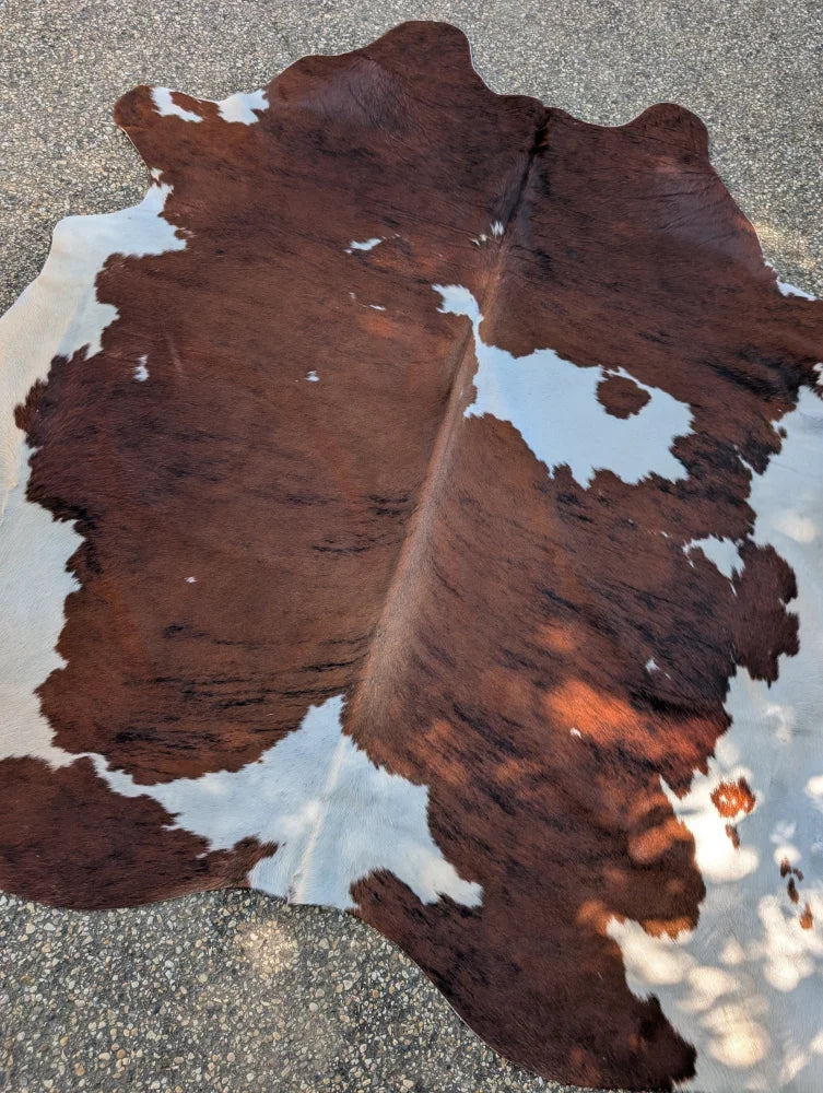 Hello#3 88 x 78 large cowhide rug with brown and white natural patches offering unique characteristics and rustic charm