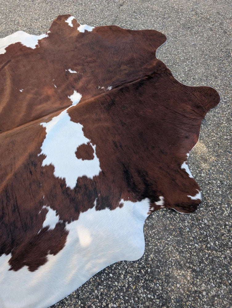 Large brown and white cowhide rug with natural irregular edges showcasing unique characteristics and rustic charm