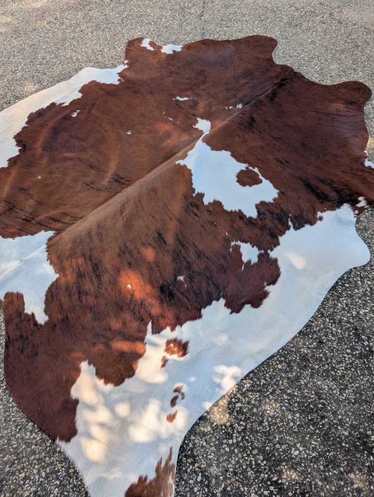 Hello#3 large cowhide rug with brown and white natural patches showcasing unique characteristics and rustic charm