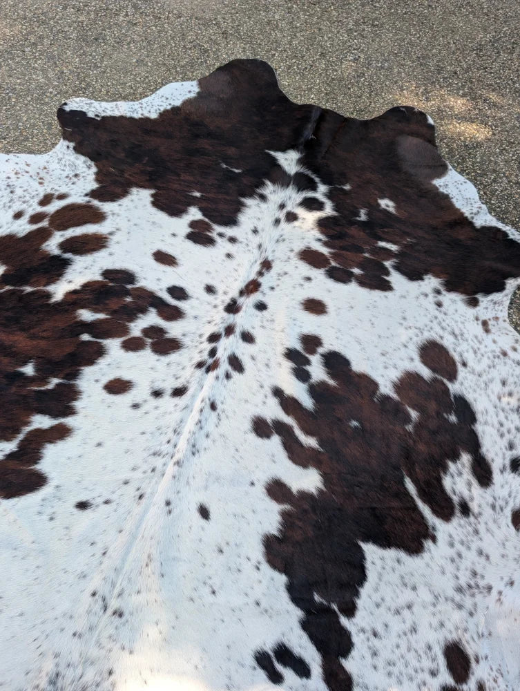Large cowhide rug with white and brown spots and natural irregular edge showing rustic charm and unique characteristics