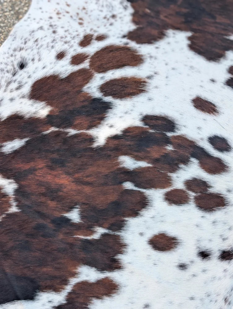 Large brown and white spotted cowhide rug with natural textured surface and unique characteristics for rustic charm