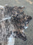 Hellow5 88 x 81 large cowhide rug with unique characteristics and rustic charm in black brown and white fur pattern