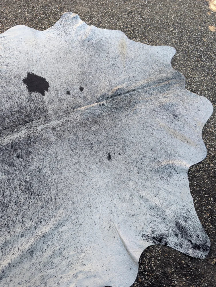 Natural white and black large cowhide rug hellow7 with textured irregular edge and unique rustic charm