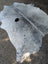 Hellow#7 large gray and black cowhide rug with unique characteristics and rustic charm in an irregular shape