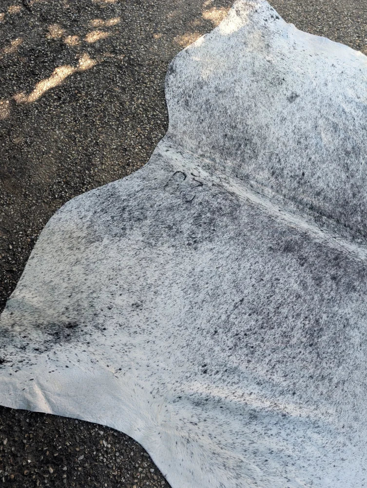 A large cowhide rug in white and gray speckled with unique characteristics and rustic charm in an irregular shape