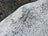 Hellow#8 large cowhide rug with white base and speckled black pattern adds rustic charm and unique characteristics