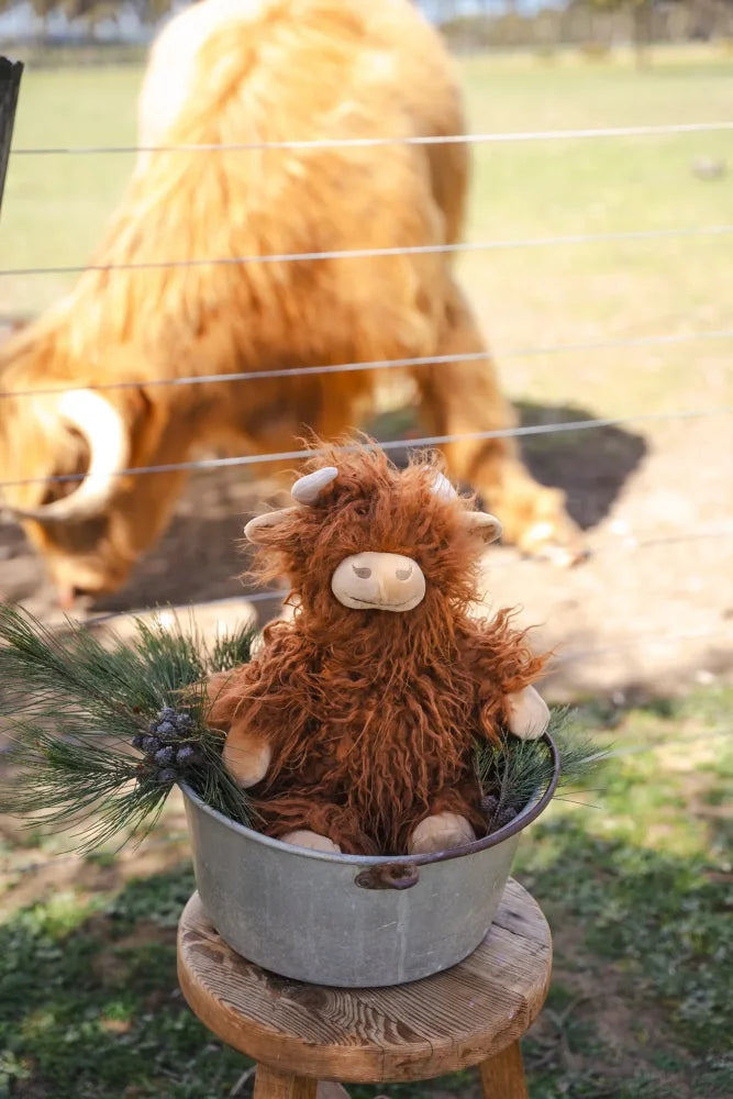 Henry the highland cow is a plush brown toy with soft fur and white horns sitting in a metal bucket