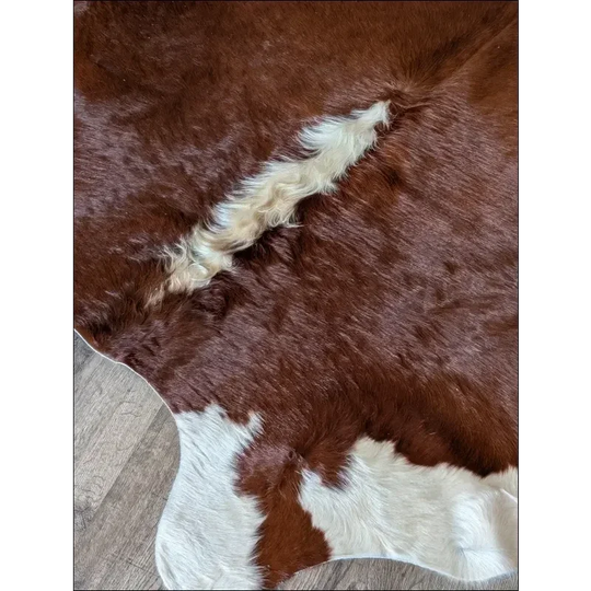 Lovely Hereford#108 extra large cowhide rug with brown and white patches